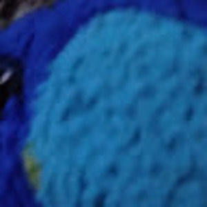 Meet your Posher, Bridy